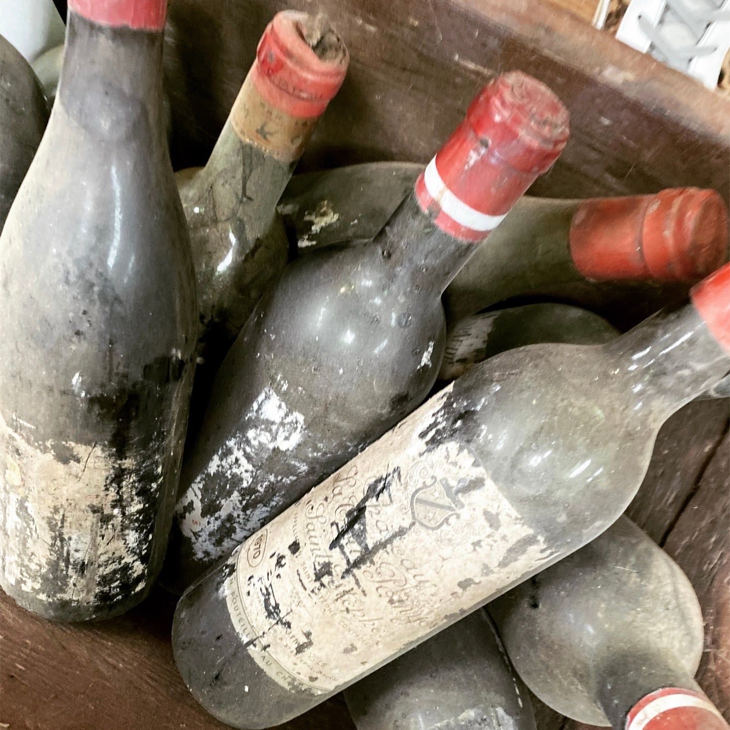 Cellar