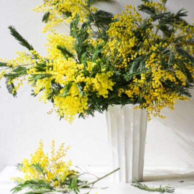 Canelé Vase