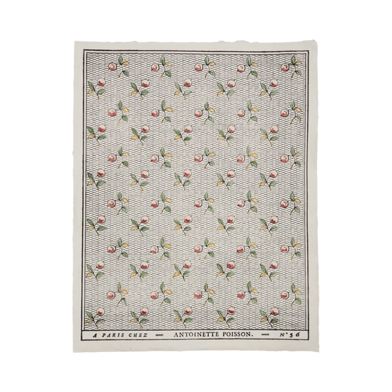 Antoinette Poisson Domino Paper No. 56A “Baies Couleurs” – Wellyhaus Antoinette Poisson Domino Paper No. 56A “Baies Couleurs” – Wellyhaus