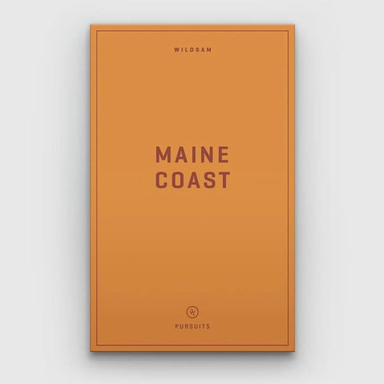 Load image into Gallery viewer, Maine Coast Field Guide
