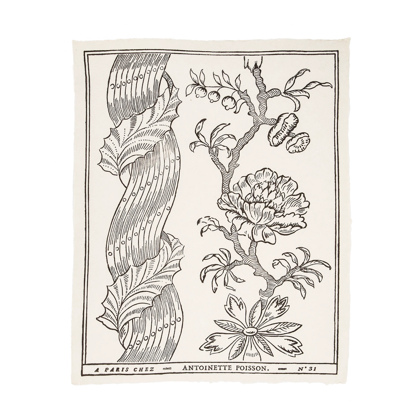 Antoinette Poisson Domino Paper No.31E “Colonnes Black and White ”