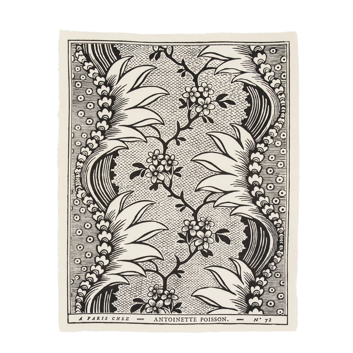 Antoinette Poisson Domino Paper No.72C “Torrent Black & White”