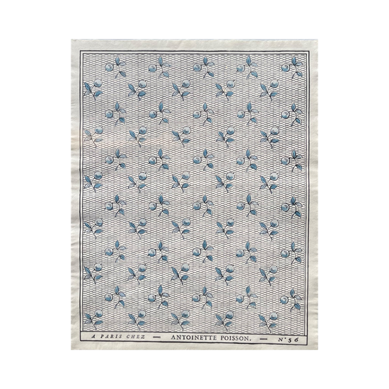 Antoinette Poisson Domino Paper No.56B "Baies Bleu”