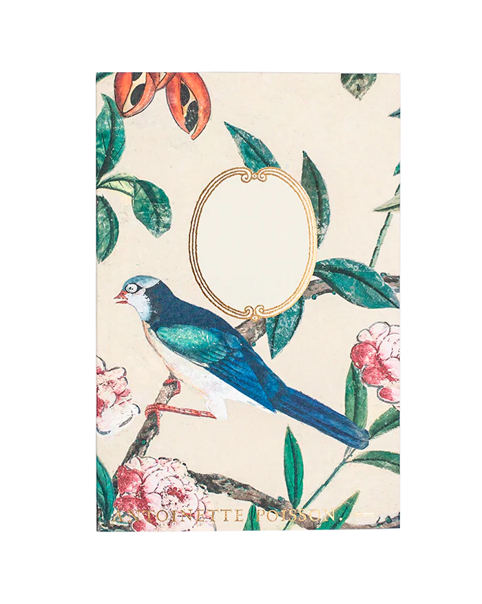 Antoinette Poisson Assorted Notebooks